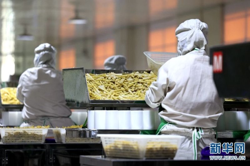 预制菜行业网站：哪些平台更胜一筹？